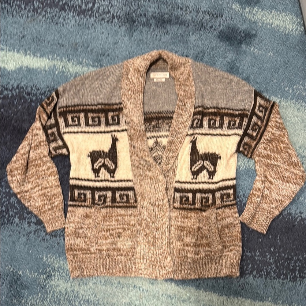 Isabel Marant Alpaca Cardigan